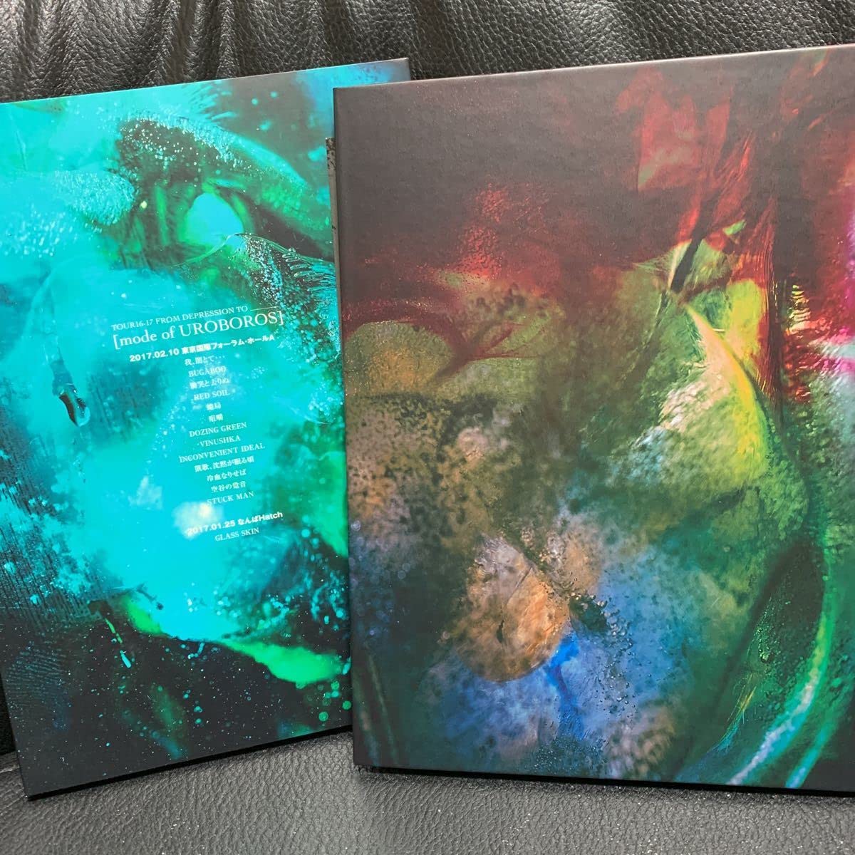 Amazon.co.jp: DIR EN GREY FC Limited TOUR16-17 FROM