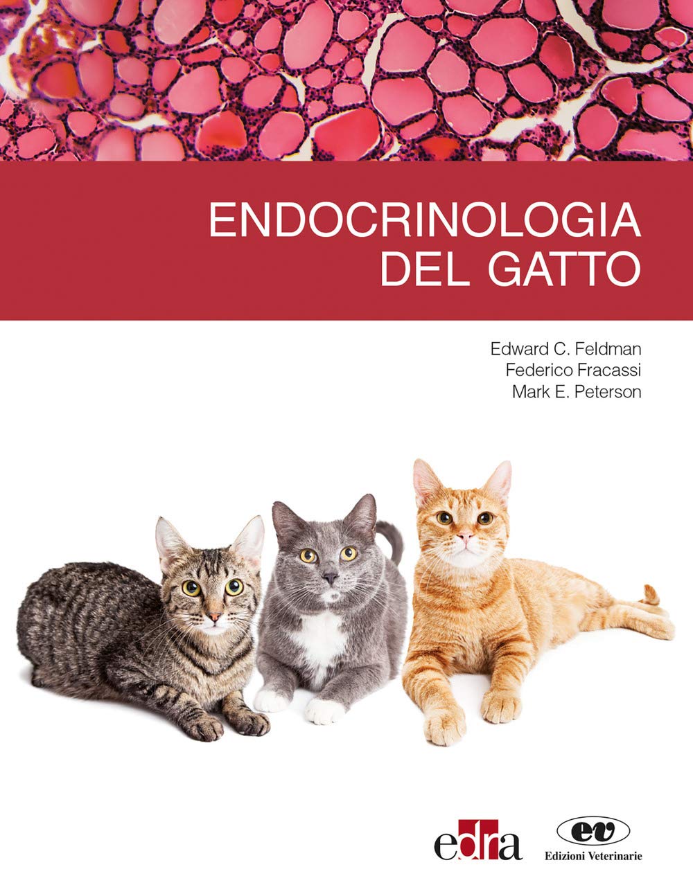 Endrocrinologia Del Gatto - 4