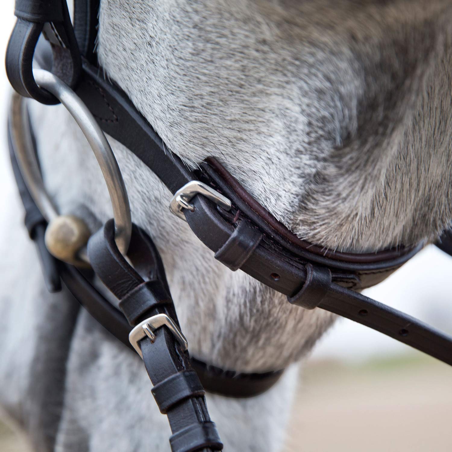 HORZE Pferde Trense Weston, Trensenzaum mit Zügel für Warmblut, Vollblut und Pony, Braun, C