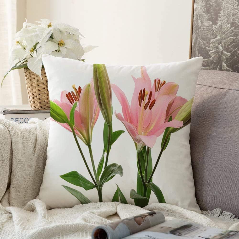 Throw Pillow Case Nobody Modern Flower Pink Isolated Out
