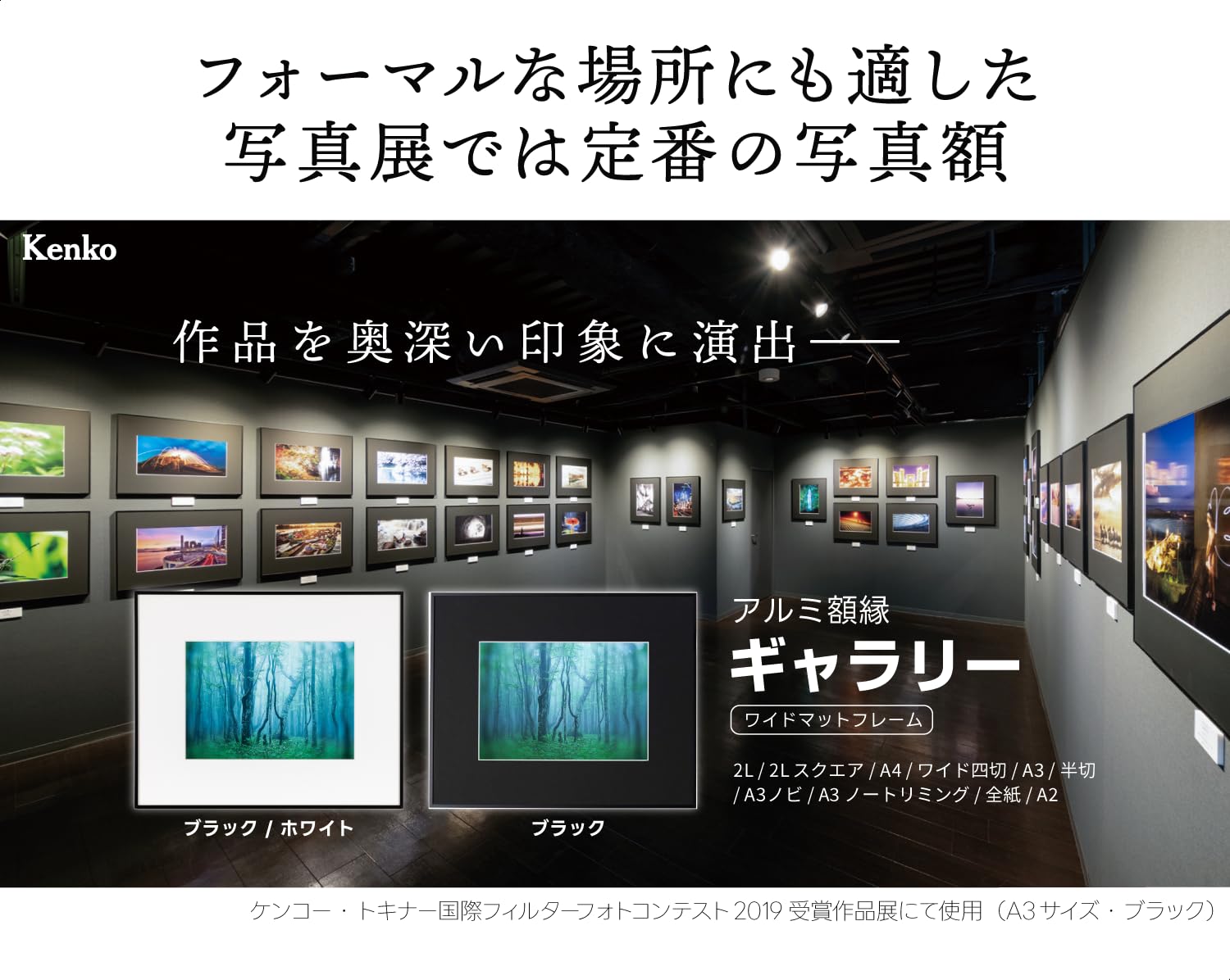 Amazon.co.jp: KENKO ケンコー: アルミ・樹脂製額縁