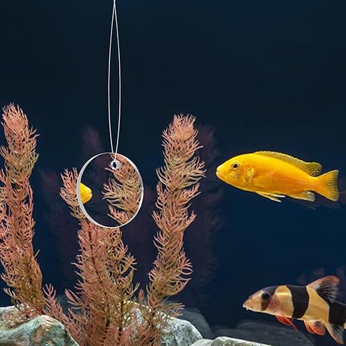 Miniatura 7 de POPETPOP Betta Espejo de ejercicio 1 juego de doble cara círculo Betta espejo con bola flotante para acuario pecera 5CM