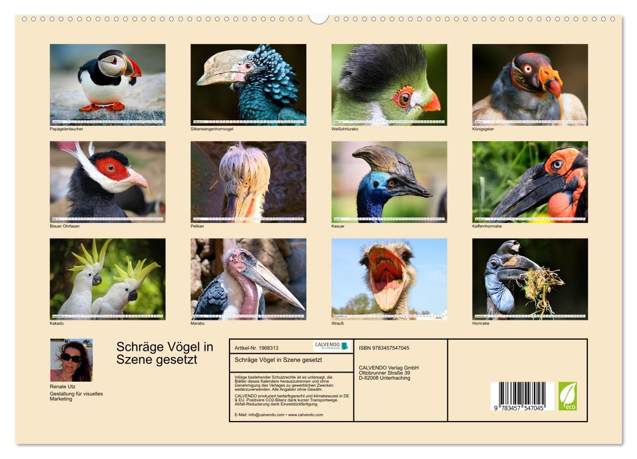 Schräge Vögel in Szene gesetzt (hochwertiger Premium Wandkalender 2026 DIN A2 quer), Kunstdruck in Hochglanz: Faszinierende Bilder skurriler und ... rund um den Globus (CALVENDO Tiere)