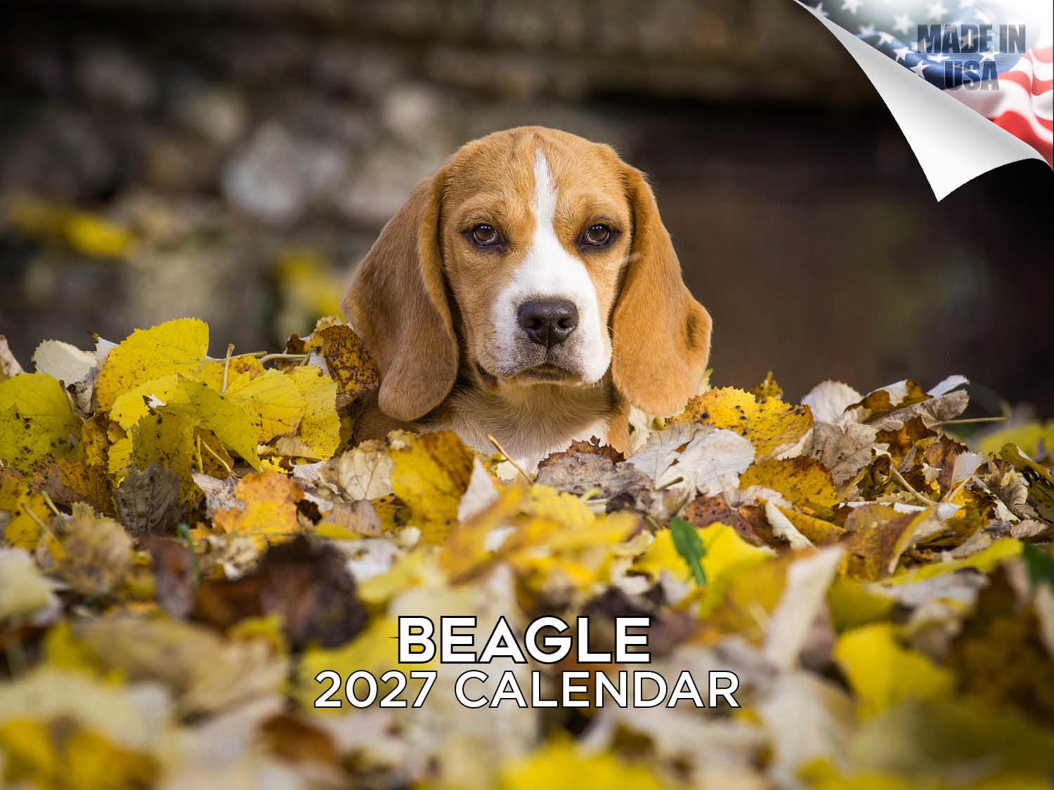 2025 2026 Beagle Calendar - Dog Breed Monthly Wall Calendar - 12" x 18" Open - Thick No-Bleed Paper - Giftable - Academic Teacher's Planner Calendar Organizing & Planning - Made in USA — image 1