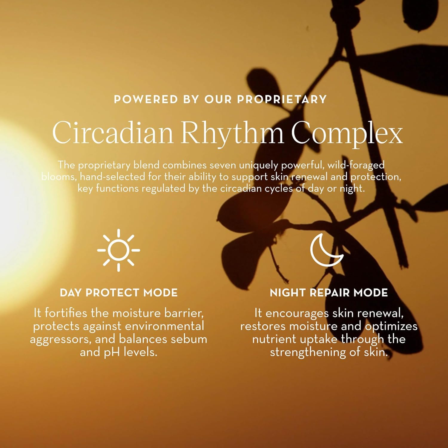 Furtuna Skin Nightly Renewal Cream - Intensive Overnight Regenerative Repair Moistrurizer, Bakuchiol & Ceramide Infused, Vegan, EWG Verified - Image 6