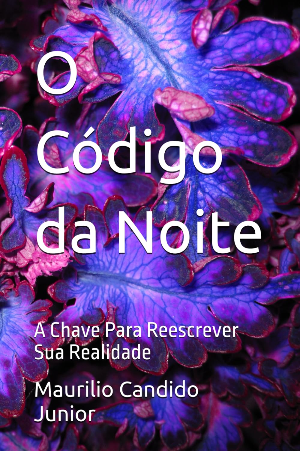 O Código da Noite: A Chave Para Reescrever Sua Realidade
