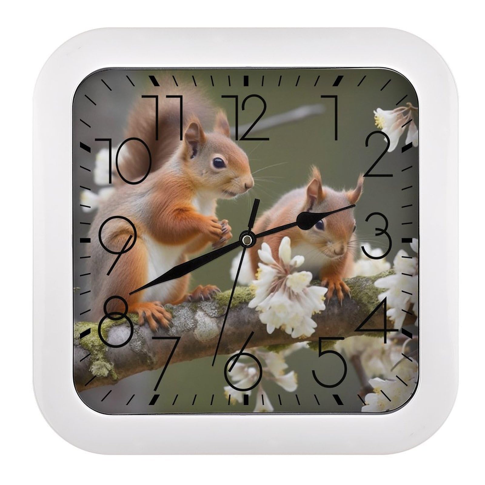NTVOWPZO 10 Inch Wall Clock Squirrels Battery Operated Wall Clocks Silent Non-Ticking Square Wall Clock for Living Room Kitchen Home Office Wall Decorative Clocks