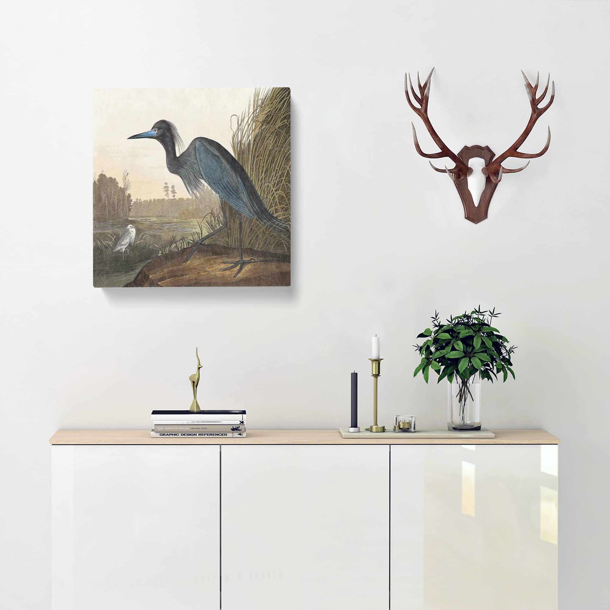 Blue Heron by John James Audubon Canvas Print, Mixed, 35L x 35W cm - Image 2