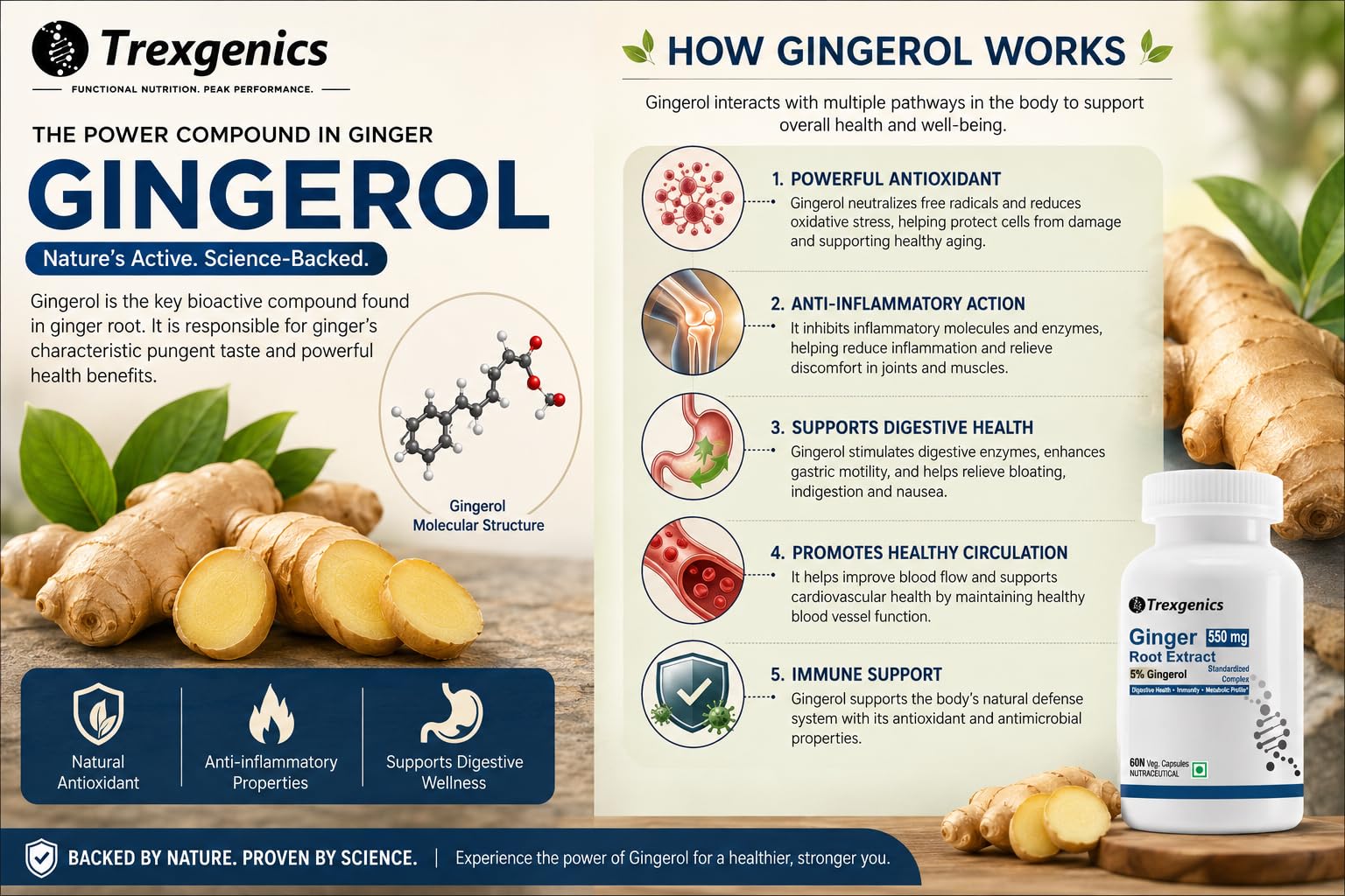 Trexgenics GINGER (Bioactive 5% Gingerol) 550 mg Standardized for Digestive Health, Immunity, Metabolic Profile, Immunity Support (60 Vcaps) (1) 2