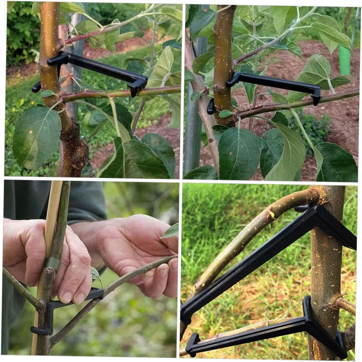 DOITOOL 100pcs Fruit Tree Branch Spreader Tool Supports for Training Fruit Trees Improve Growth Angle Sunlight Exposure Easy Installation for Garden Use