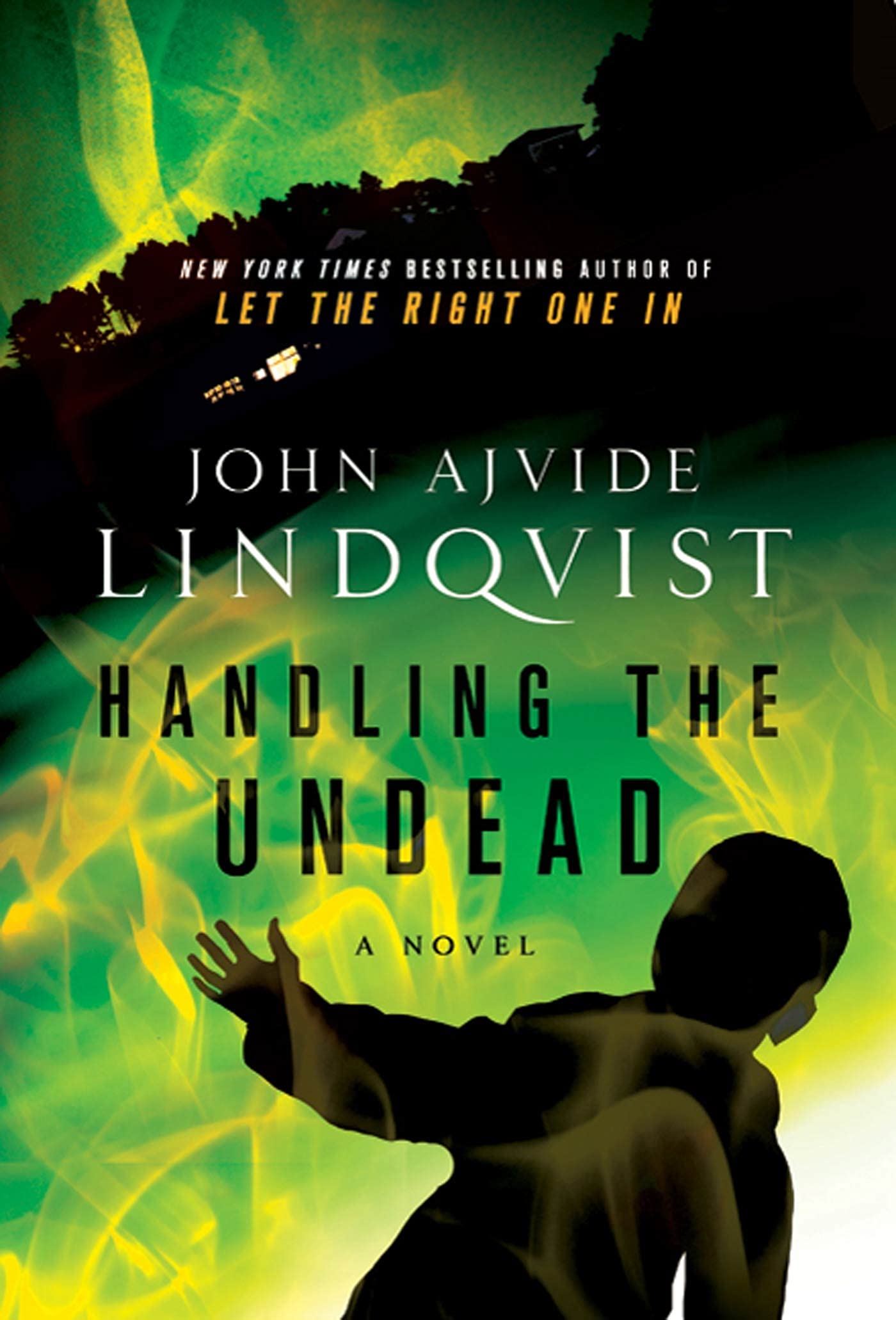 Handling the Undead: Lindqvist, John Ajvide: 9780312604523: Amazon.com:  Books