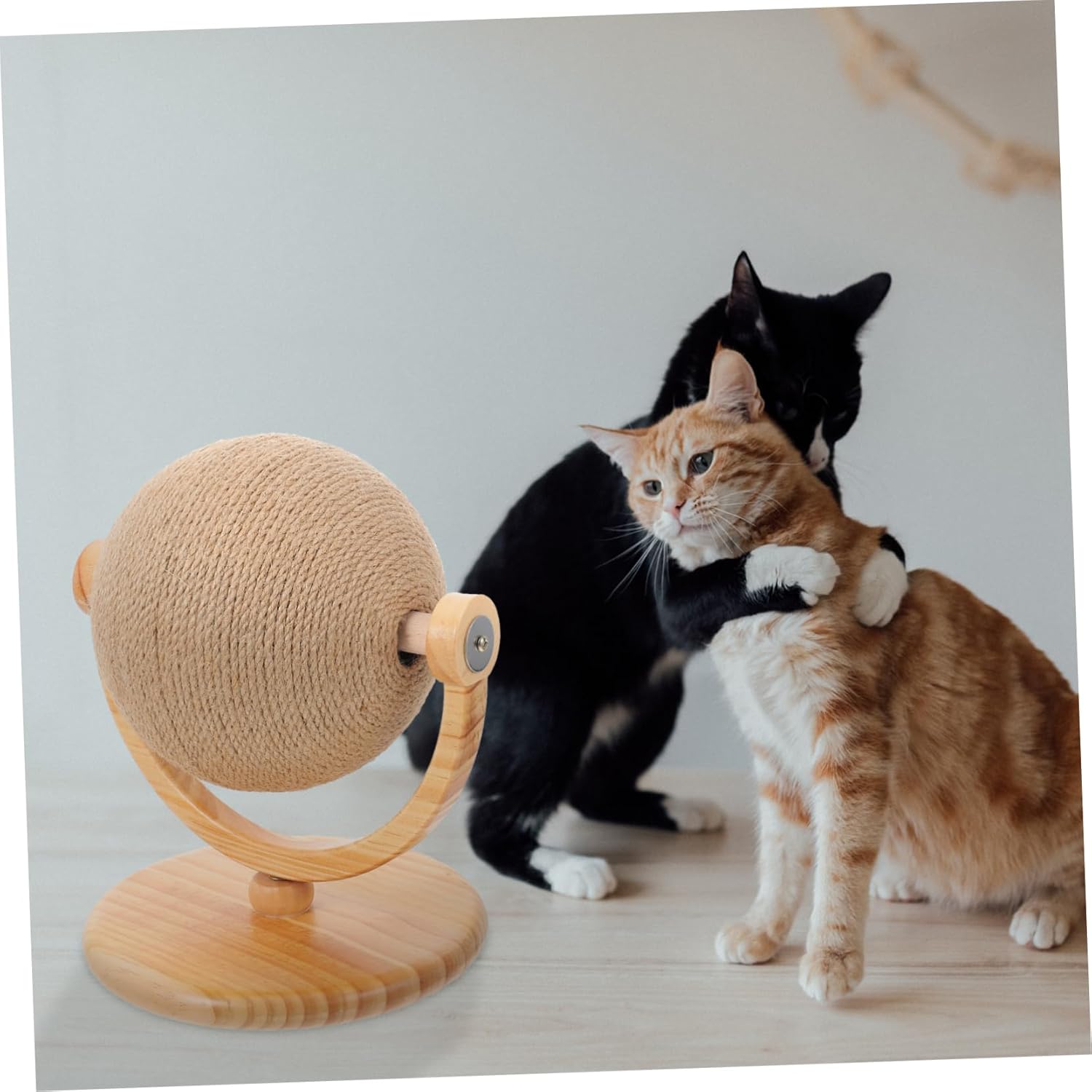Funny Cat Scratching Ball Durable Globe Shaped for Indoor Cats Relief Claw Grinding Interactive Cat for Playtime Home Decor for Reducing Loneliness