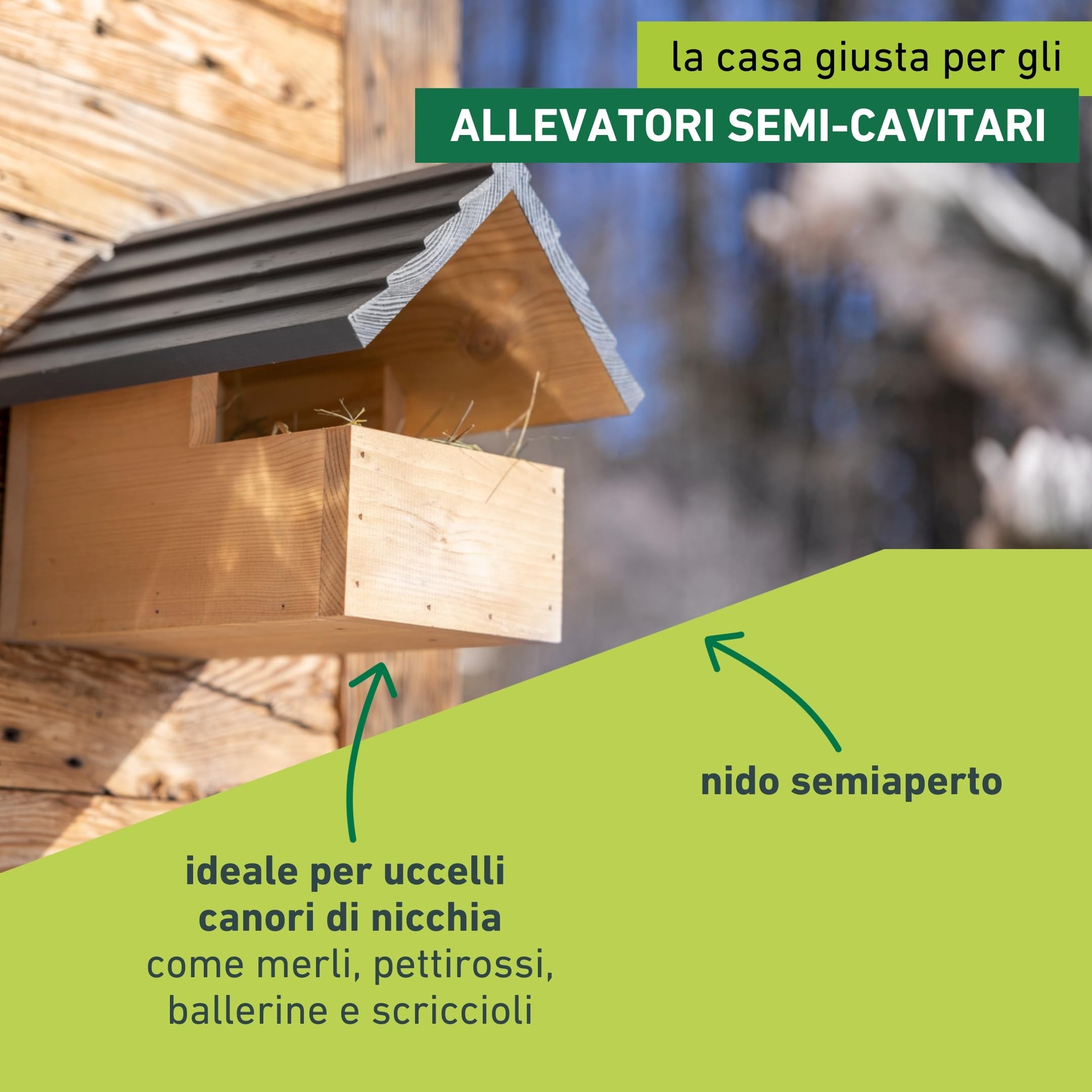 Windhager cassetta nido per uccelli Loggia, cassetta nido semiaperta per uccelli che nidificano a metà, ad esempio merli, pettirossi, legno, casetta per uccelli, resistente alle intemperie