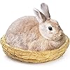 Product Photo 8