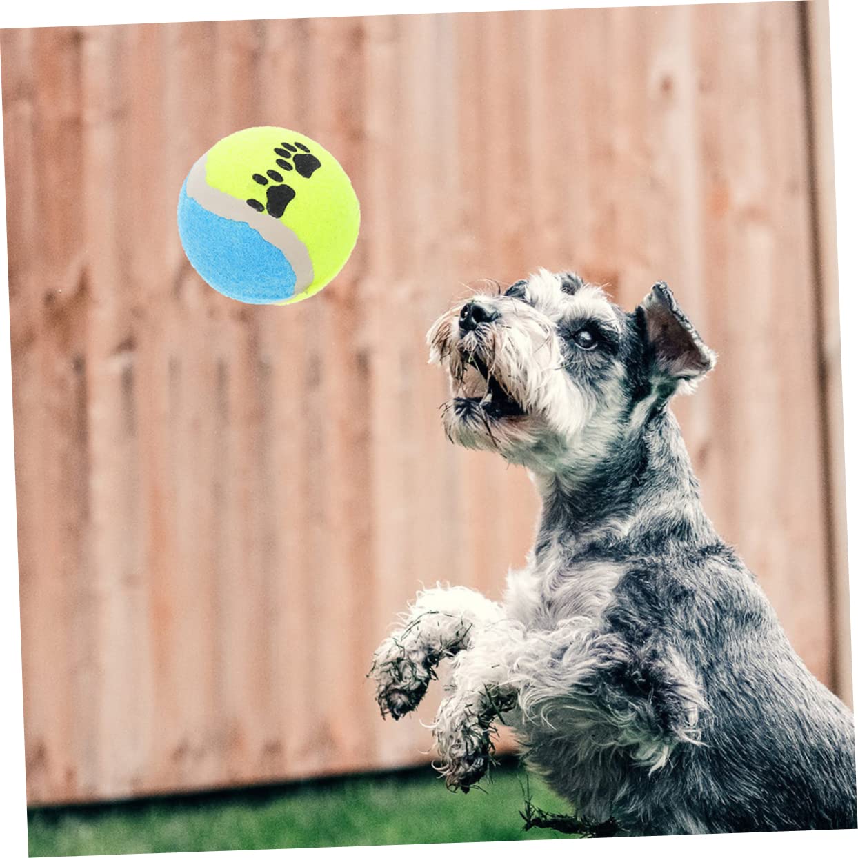 Happyyami Hundetraining 16 Stück Hundespielzeuge Für Den Robusten Innen- Und Außenbereich Zufällige Farbe