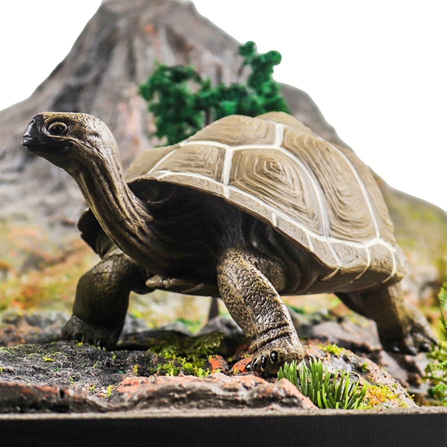 Paloma - 『カメ』 カメ | Swarovski