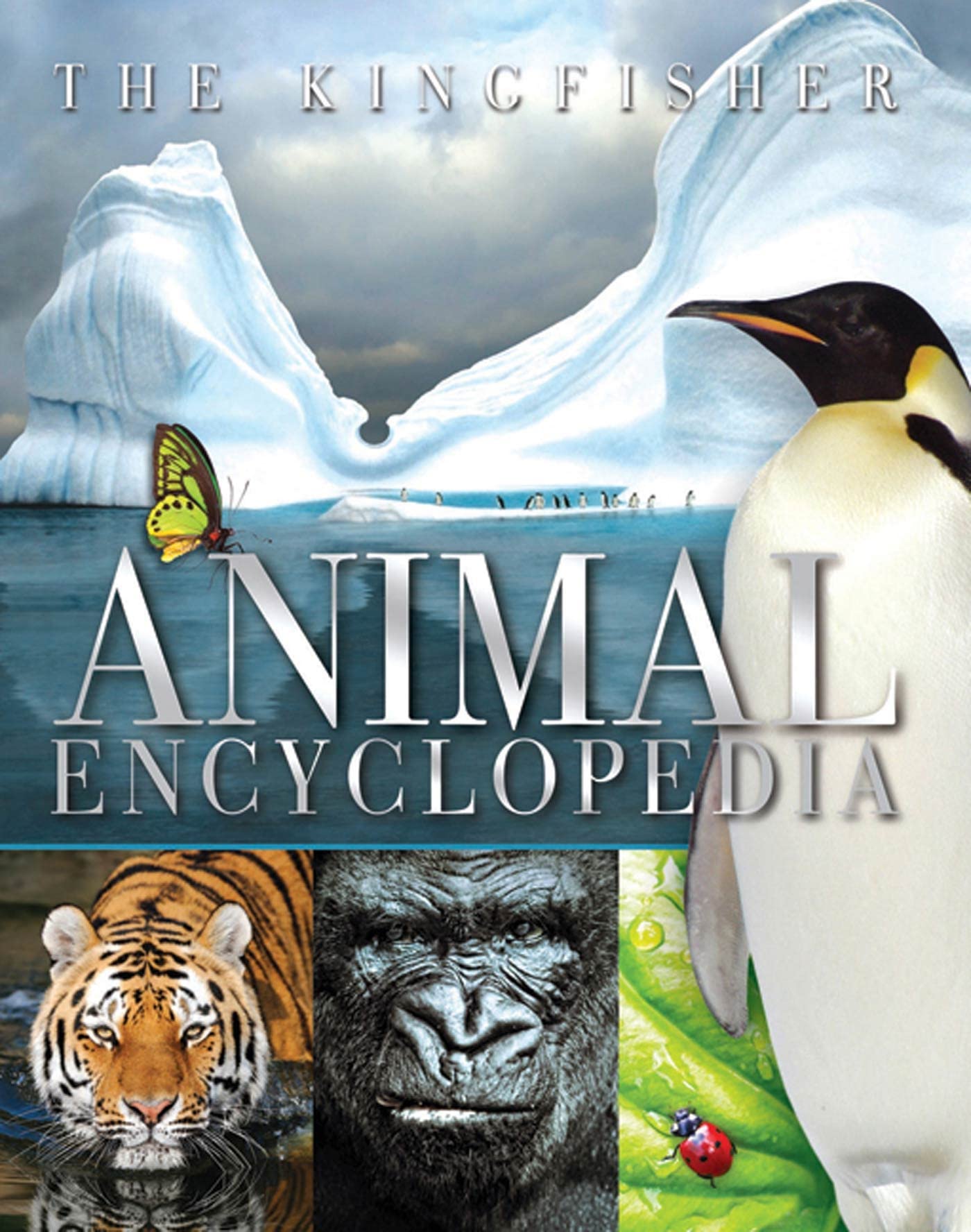 The Kingfisher Animal Encyclopedia (Kingfisher Encyclopedias)