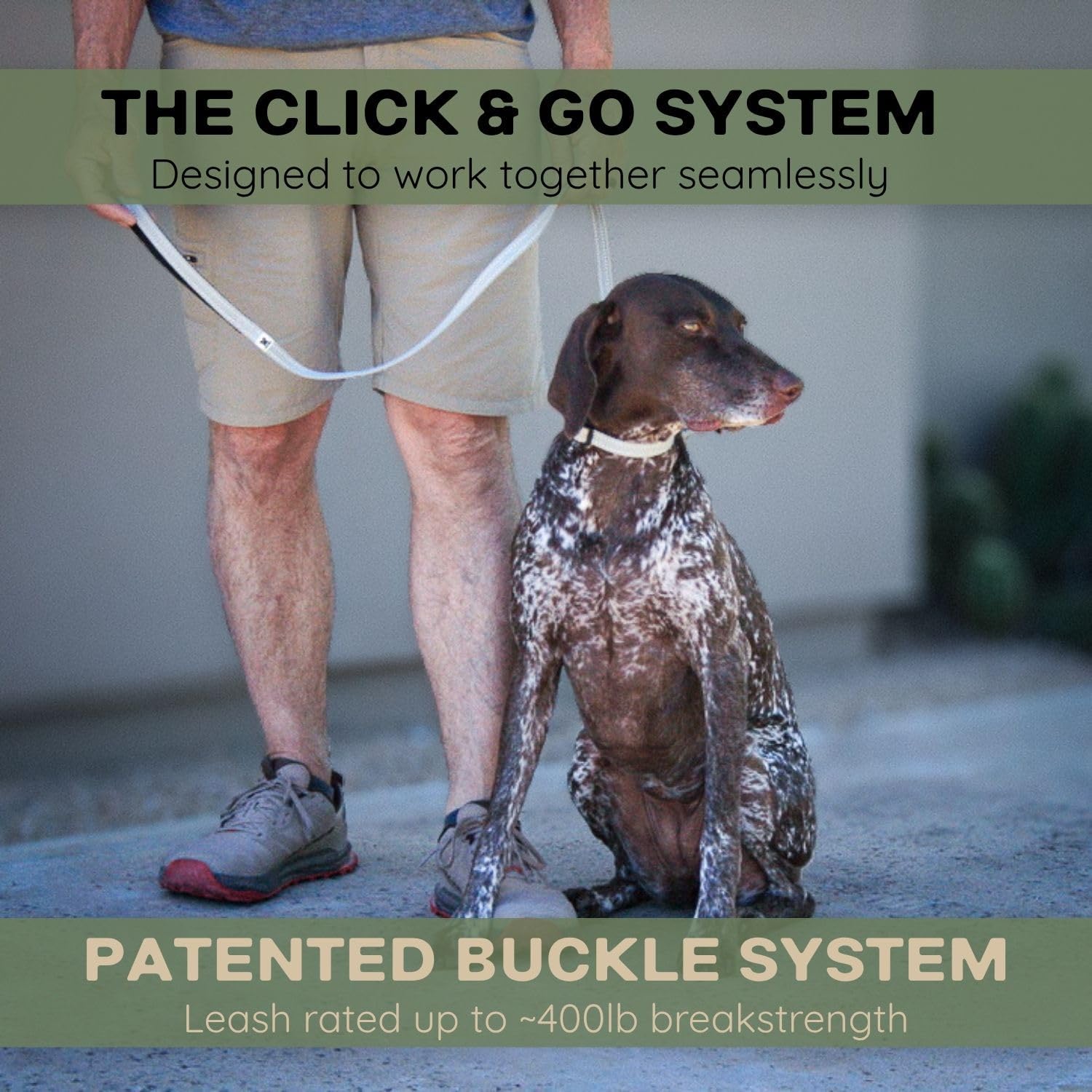 Magnetic Small Sage Dog Collar – (1/2") Width Adj. Fit 12–18" Neck - Standard Leash 1/2" Wide & 4 ft - Magnetic Click & Go Buckle, One Hand Release, Reflective Stitching Night Visibility