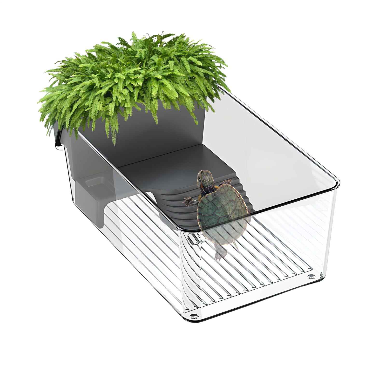Aquarium pour tortues d'eau habitat pour reptiles et amphibiens