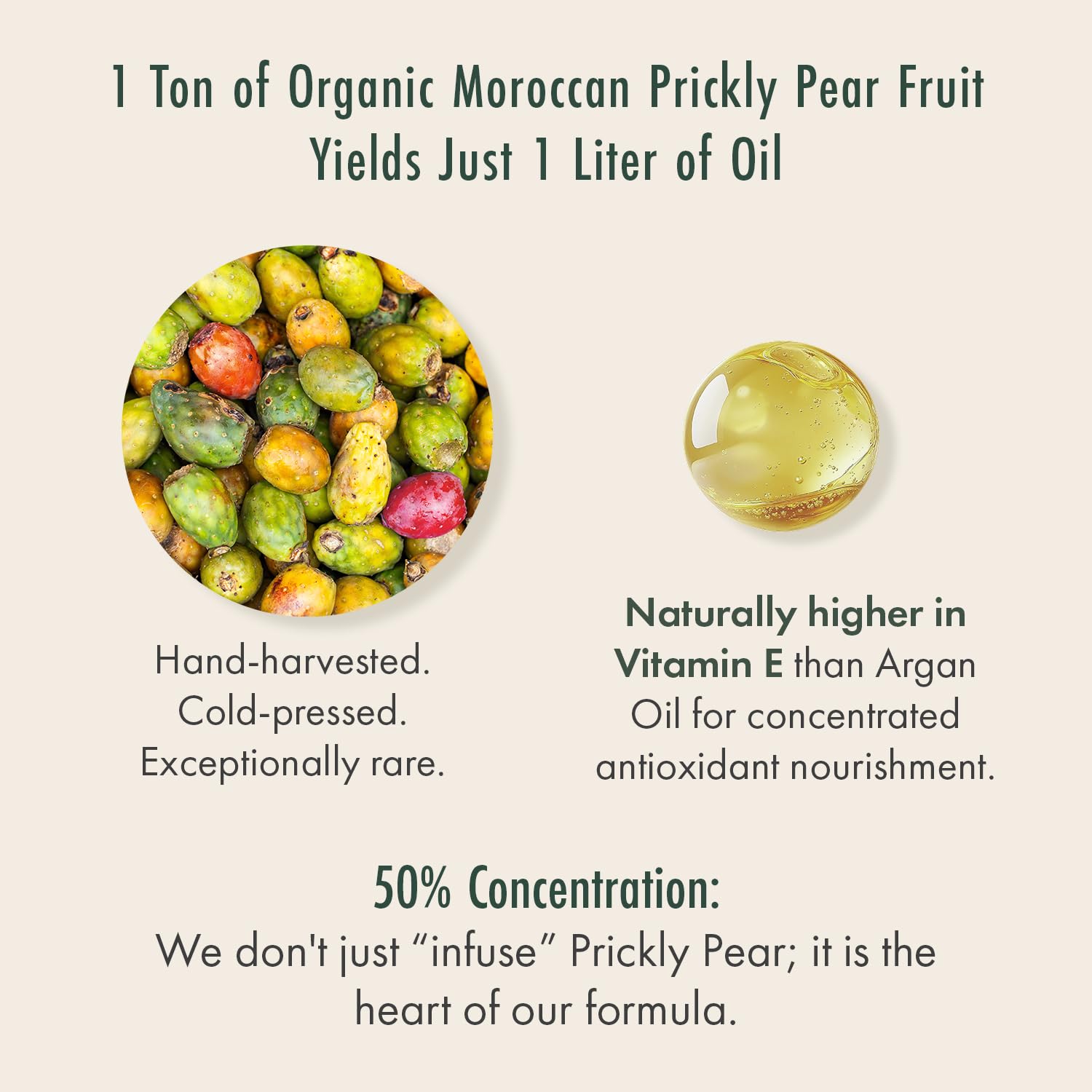 Organic Moroccan Prickly Pear Seed Oil & Camellia Face Oil Serum 30mL - Restorative Facial Moisturizer for Sensitive Skin - Cold Pressed Liquid Gold, Fragrance Free