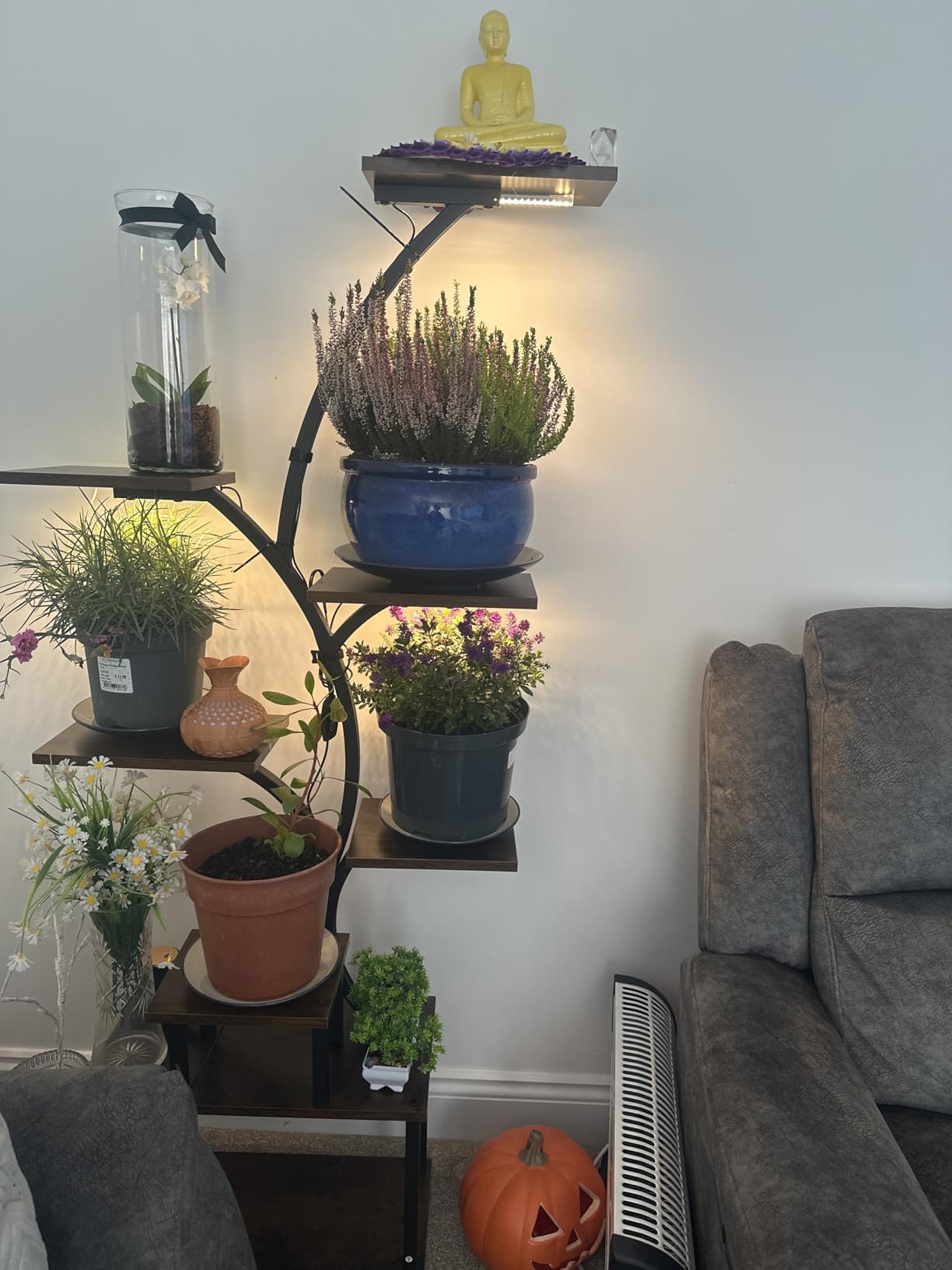 Customer photo