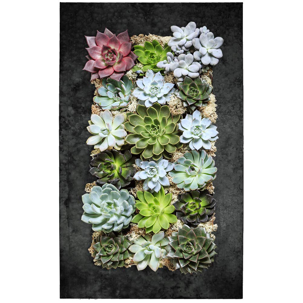 Vandue 18-Pocket Zinc Living Wall Planter