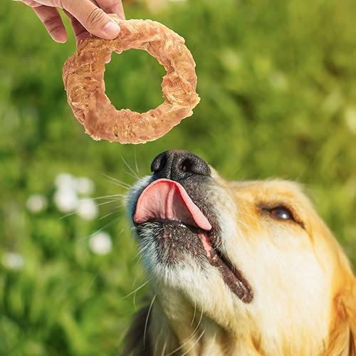 Vista 9 de Jungle Calling Tendones de carne para perros adultos, tendones envueltos en pollo, masticables para perros de larga duración, suplemento para cadera