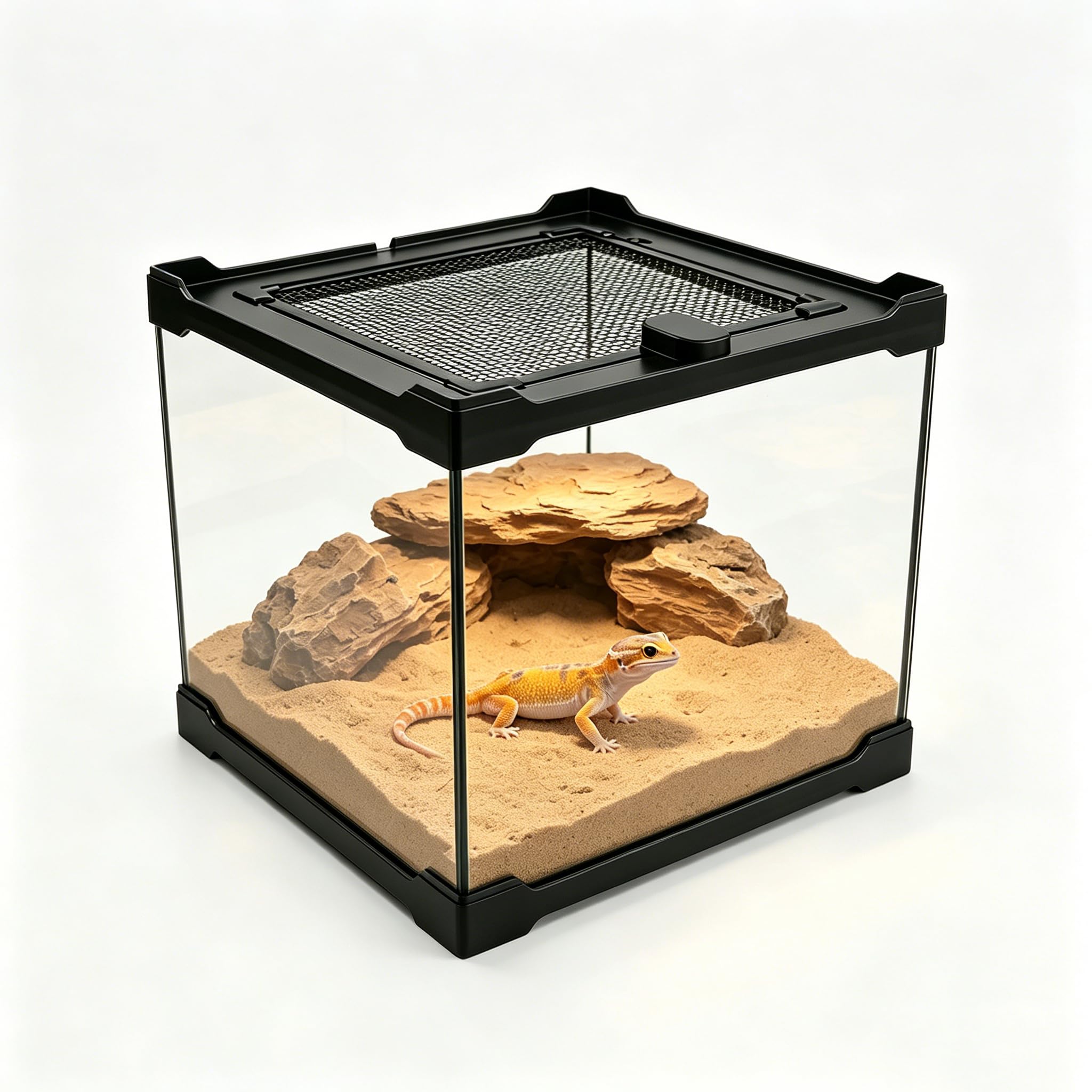 Terrarium Rettile - Scatola di alimentazione 20 x 20 x 17 cm, in vetro per rettili e piante con copertura di ventilazione