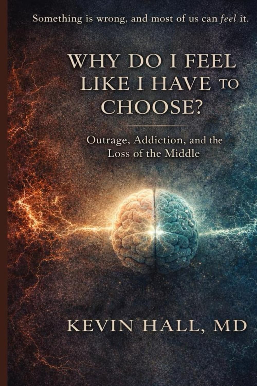 Why Do I Feel Like I Have to Choose?: Outrage, addiction, and the Loss of the Middle