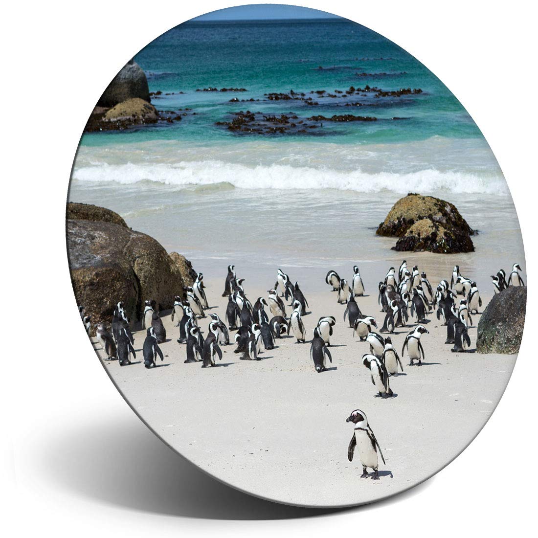 Destination Vinyl Ltd Magnet For Refrigerator, Fridge - Boulders Beach Penguins Cape Town For Office, Cabinet And Whiteboard, Magnetic Stickers, 16260