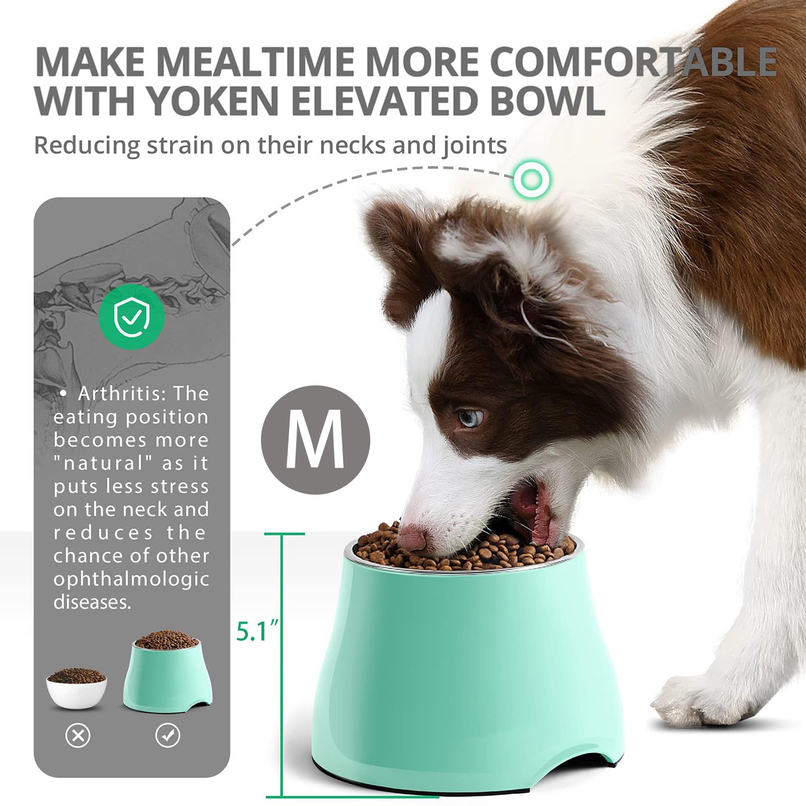 Fluffydream Elevated Dog Bowls, Prevention of Vertebrae Disease, Non-Slip With Stainless Steel Bowl, High Capacity Food Bowls (MintGreen, M (540ML / 2 Cups))