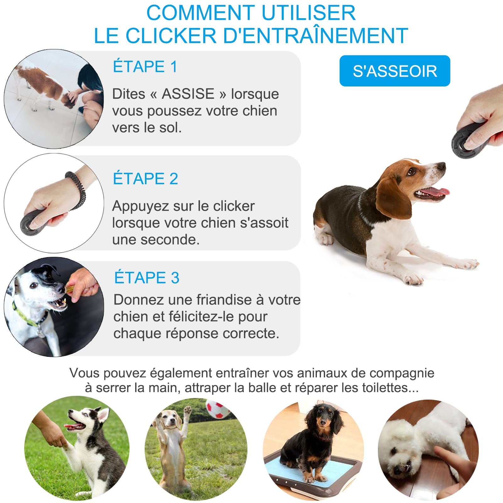 Diyife Lot de 2 Clickers pour Chien, Clickers de Chien avec Dragonne élastique et Grand Bouton, Clicker Training, Professionnel Clicker Chien Dressage pour Chat, Chien, Cheval, Noir et Cyan