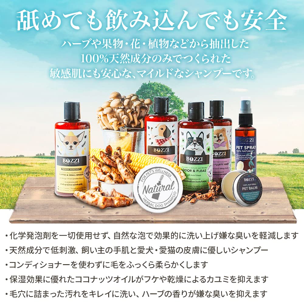 Amazon | BOZZI ペットシャンプー キャットシャンプー 猫用シャンプー
