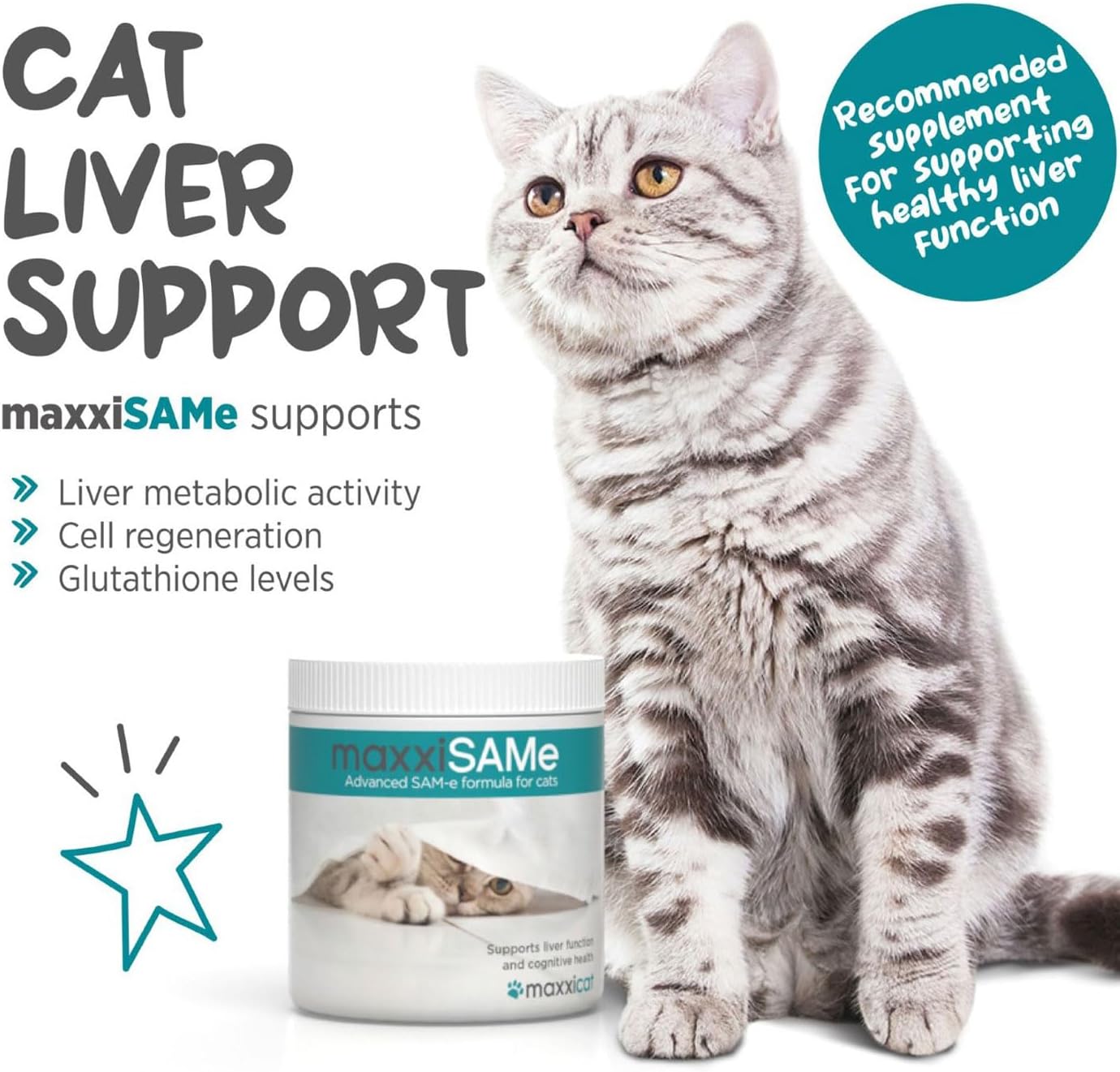 maxxipaws maxxiSAMe Advanced SAM-e Powder Supplement - Liver, Cognitive & Joint Support for Cats, 3.2oz