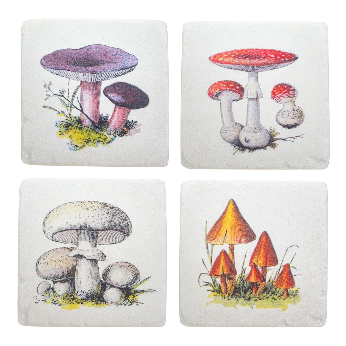Sass & Belle Multicolor Vintage Mushroom Coasters - Set Of 4
