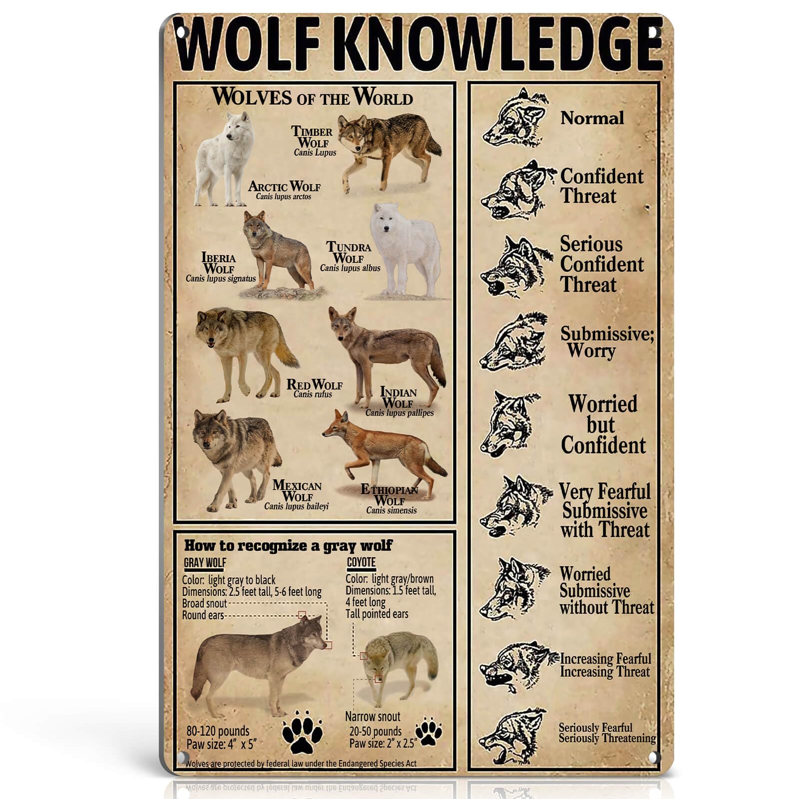 Vintage Wolf Knowledge Tin Sign: Aesthetic Decor Guide
