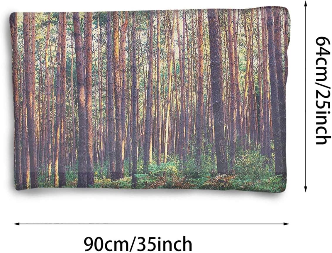 review Green Brown Thermal Pet Mat Bed Liner Forest in The Morning Light Tall Trees Pet Bed Pad Reversible Self-Warming Sofa Mat Farm House Decor 25