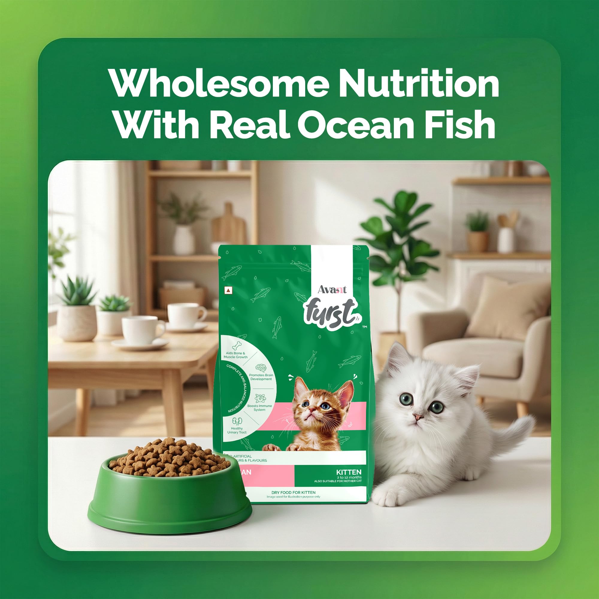 Avant Furst Kitten Dry Cat Food with Ocean Fish Flavor, Dry Kitten Food for 2β12 Months, No Artificial Additives, 2.8 kg 1