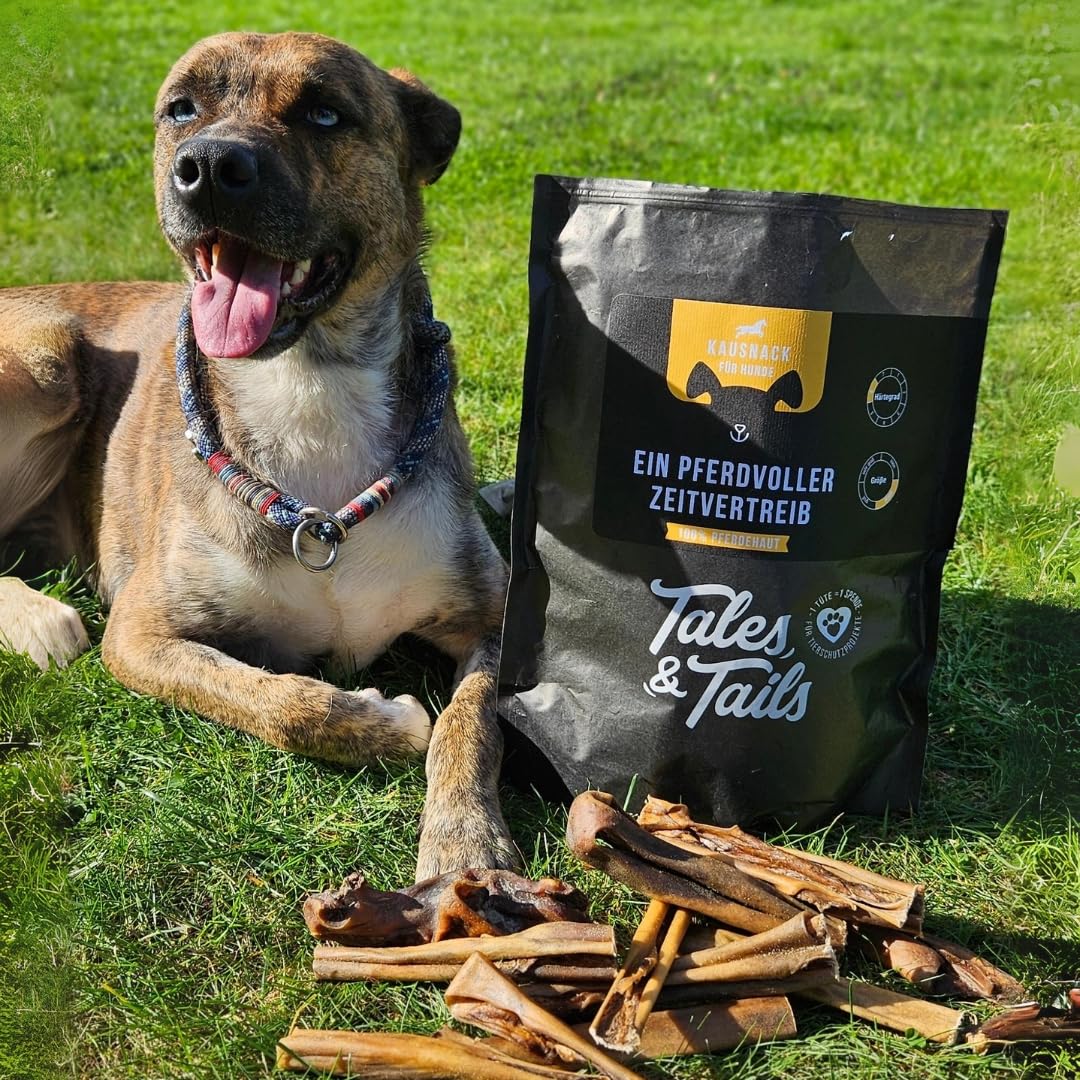 Tales&Tails - EIN PferdVoller Zeitvertreib - 100% Pferdehaut - Kauartikel für Hunde - 500g