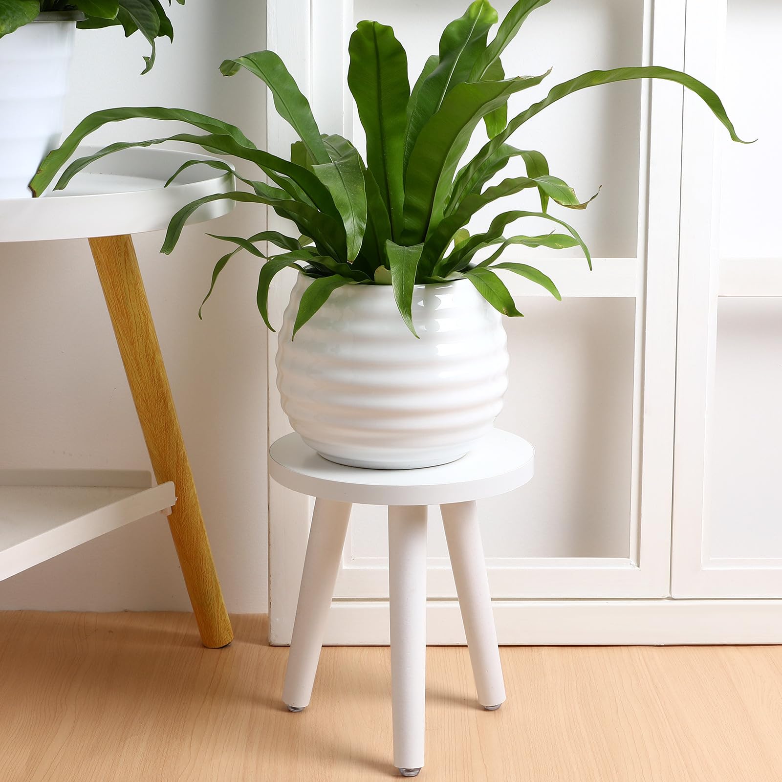 Amazon.co.jp: OATIPHO 木製フラワーラック 植木鉢スタンド 丸形20cm