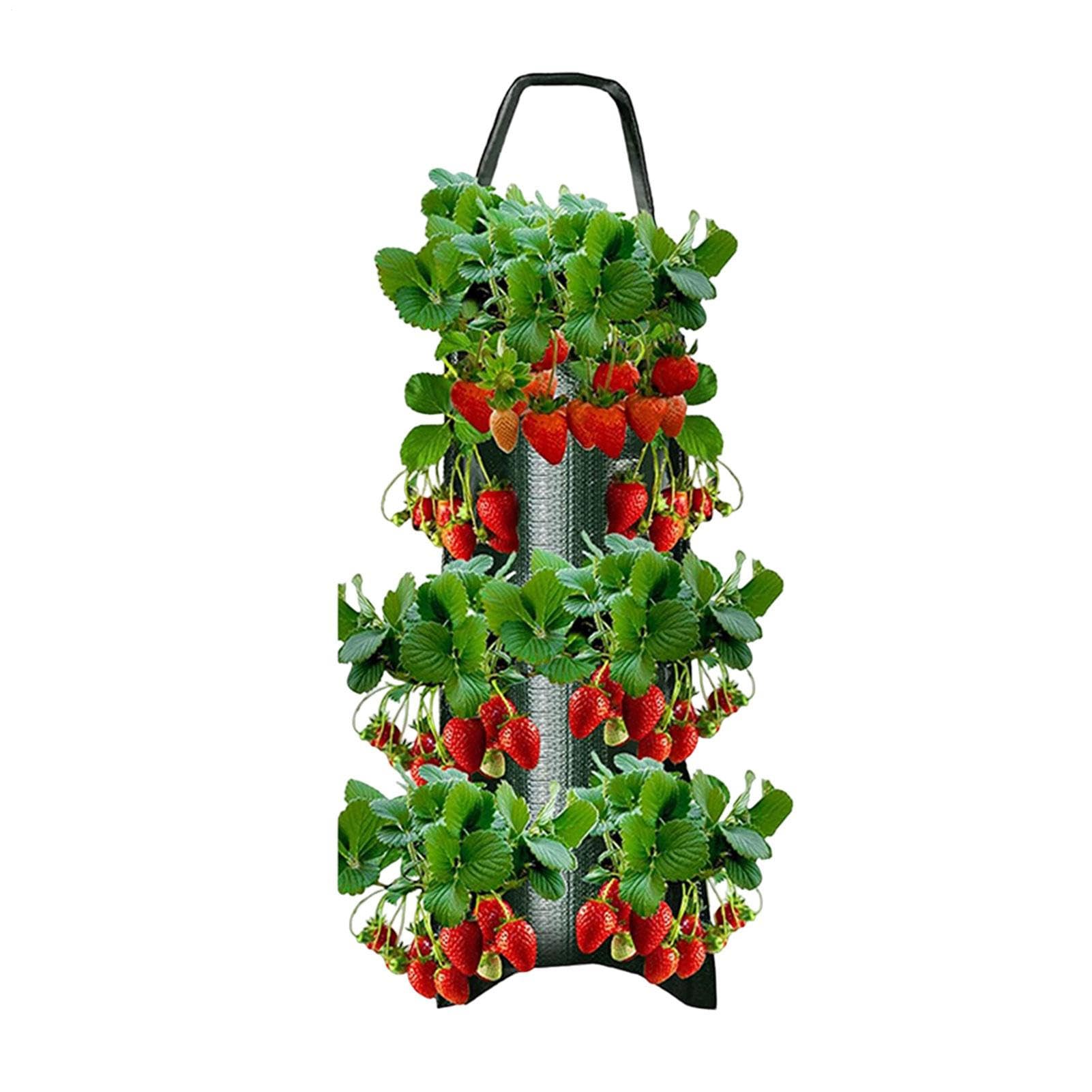 Hanging Strawberry Planter - 4/6/8/10 Holes Strawberry Grow Bags | Strawberrys Planter For Garden | Potato Grow Bags | Grows Hanger Bag For Tomato Chili Strawberrys Fruit