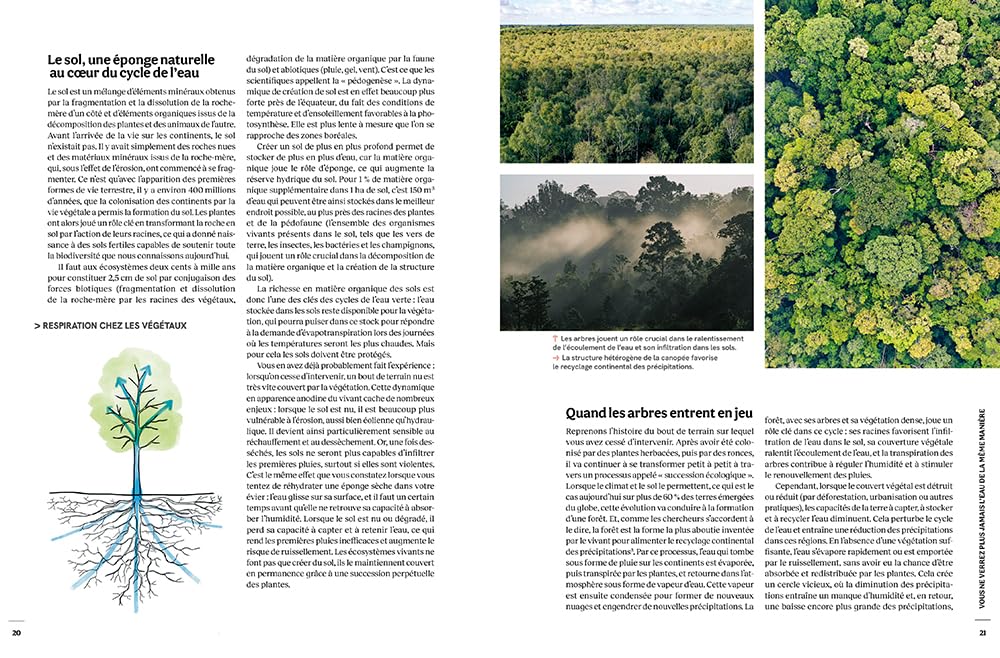 Cultiver l'eau douce - Du jardin de pluie à l'hydrologie régénérative, des solutions concrètes pour régénérer nos écosystèmes