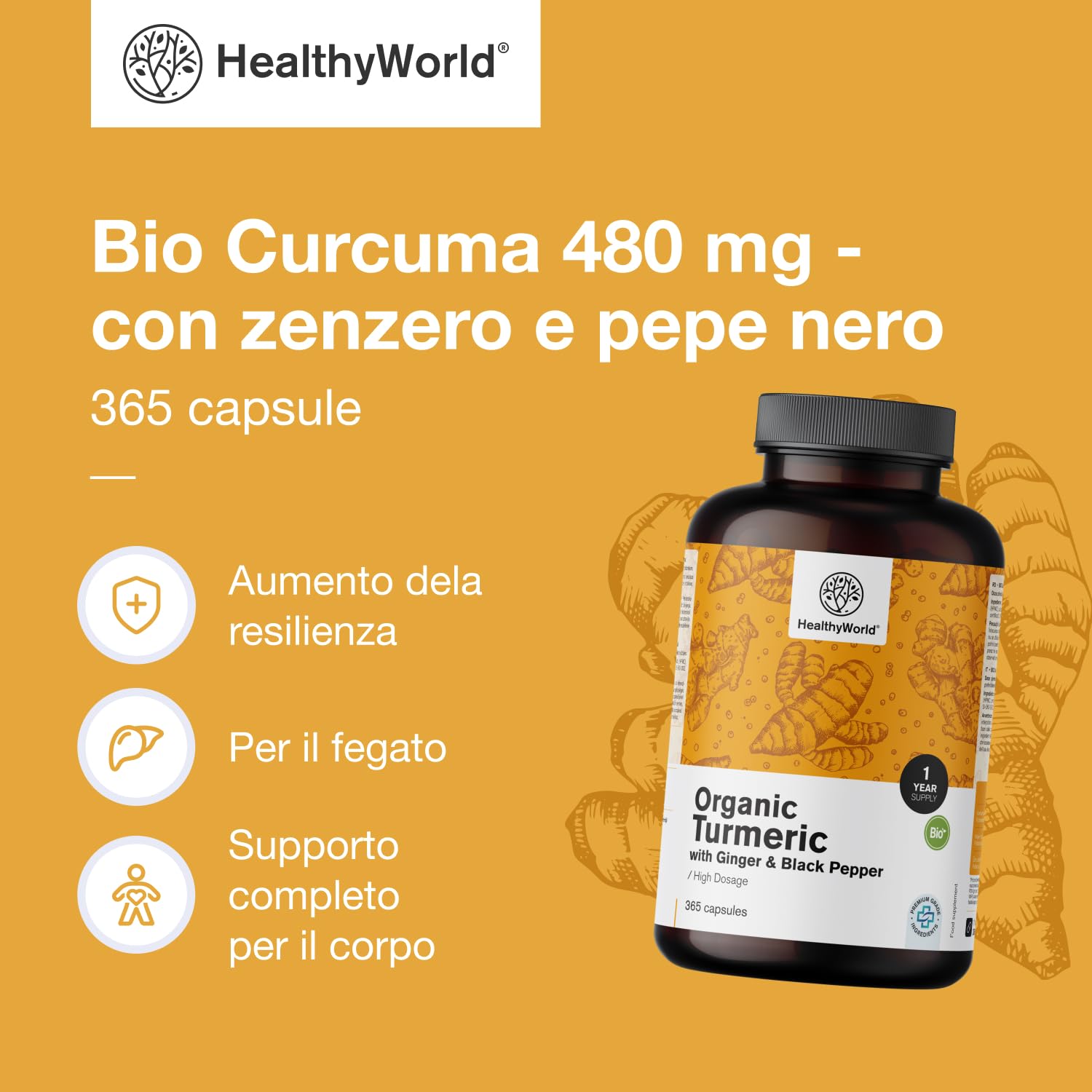 HealthyWorld BIO Curcuma 480 mg con Zenzero e Pepe Nero - 365 Capsule Vegetali - 1-anno di Fornitura - Per il sostegno delle Difese Immunitarie, del Fegato, delle Vie Respiratorie e del Cuore