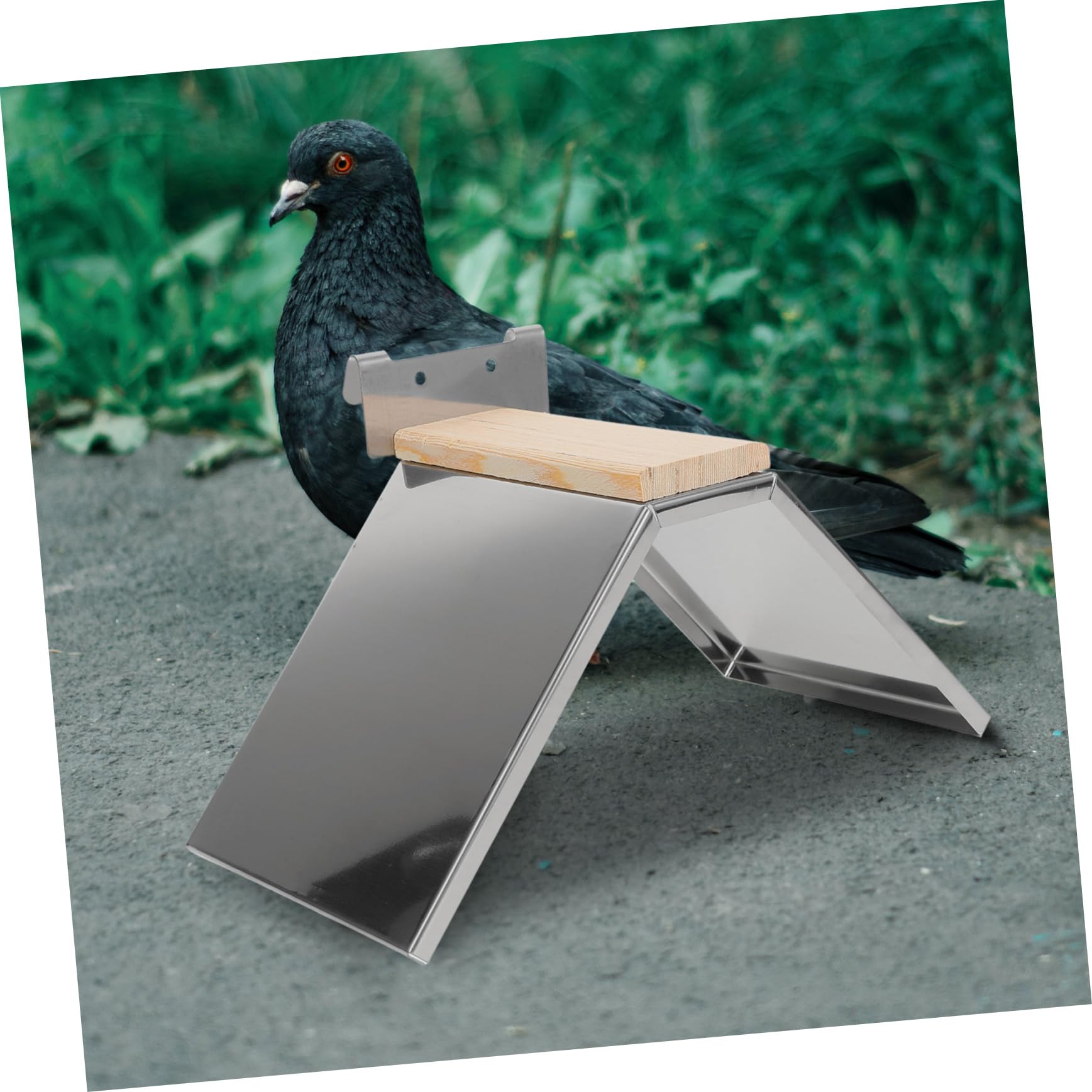BESPORTBLE 4piezas Perchero para Aves Soporte De Inoxidable y Descanso Seguro para y Aves para Juguetes De Periquitos y