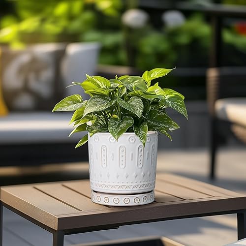 Miniatura 4 de Maceta Eightpot de 6 Pulgadas para Plantas - Macetero de Cerámica para Plantas de Interior, Macetero Decorativo con Agujeros de Drenaje y Platillo,