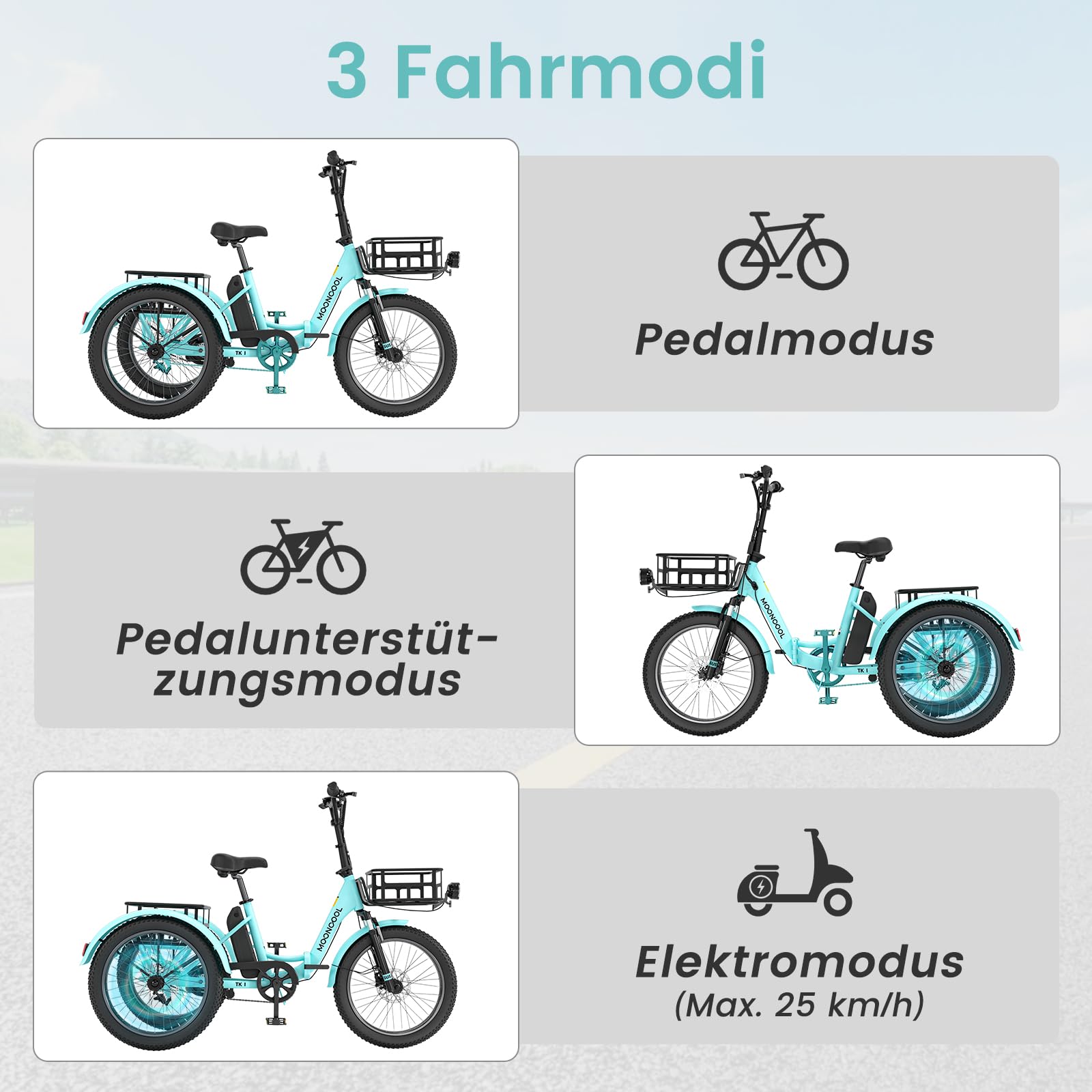 Tricycle Velo Electrique, Pliable VéLo éLectrique E Bike Roues 20 Pouces pour Homme Femmes Et Adulte, avec 36V 20ah Batterie, Moteur 250w, écran LCD, Vitesse 25 Km/H, Ip65 avec Grands Paniers