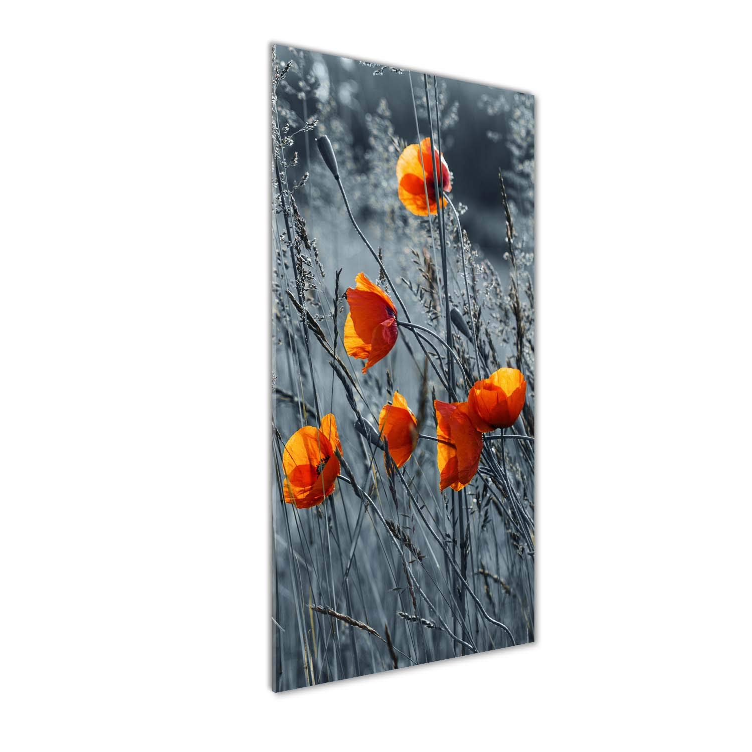 Déco mural derrière le plastique acrylique Tulup 50x125 cm - Fleurs orange