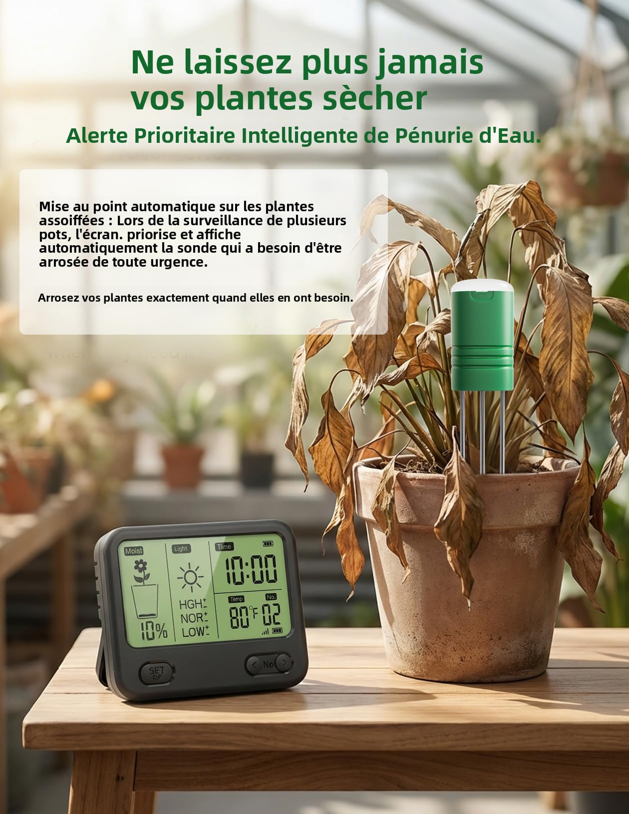 Boden Feuchtigkeitsmesser für Pflanzen,Gartenboden Temperatur/Feuchtigkeit/Sonnenlicht/Zeit /4-in-1 Feuchtigkeitsmessgerät Pflanzen für Gartenarbeit,Rasen (1 Monitor + 4 Sensoren)