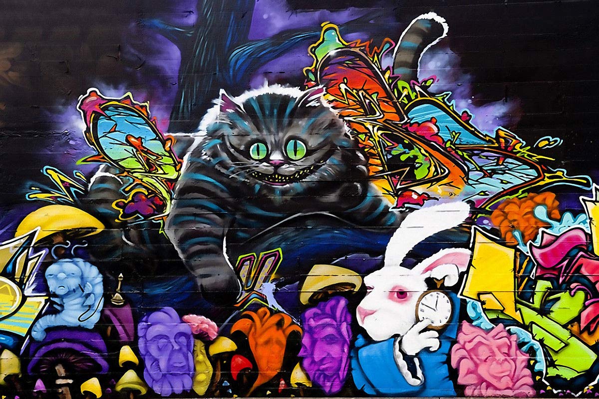 Amazon.com: Alice in Wonderland Graffiti III - Canvas OR Print