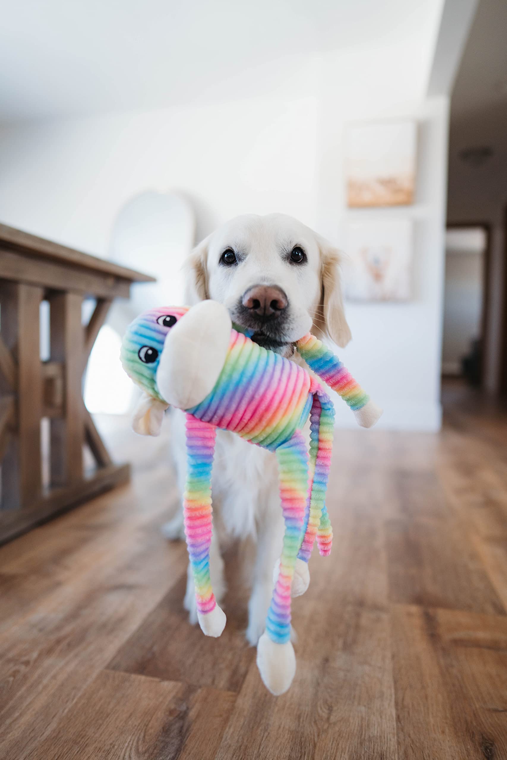 ZippyPaws Spencer the Crinkle Monkey - Large Rainbow 24/cs, Multicolours - Image 2